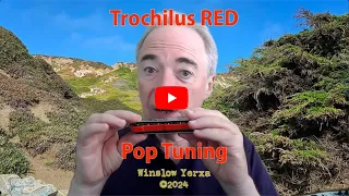 Introducing the Trochilus Pop tuning