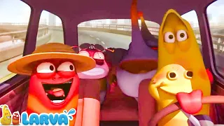 Larva Season 3 🍟Cartoons - Viagem 🥟 Cartoon Comedy 2020 🍟The newest compilation 2022