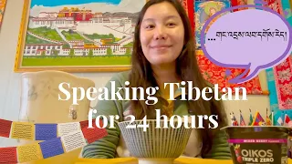 SPEAKING TIBETAN FOR (another) 24 HOURS! 🐶💙 📣