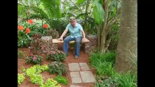 Planting a garden in the deep shade