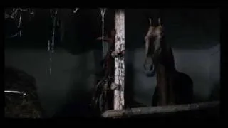 Horse / Лошадь в фильме Тарковского Солярис