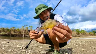 Solo FISHING using my NEW AJING ROD | Y3E28