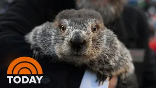 It’s Groundhog Day! Did Punxsutawney Phil see his shadow?