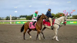 Gulfstream Park Replay Show | April 18, 2024