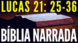 LUCAS  21: 25-36     A VINDA DO FILHO DO HOMEM     BÍBLIA NARRADA