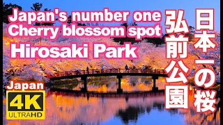 4K 2021 弘前公園の桜 弘前城 (Hirosaki Castle) Hirosaki Park,Japan's number one cherry blossom  桜吹雪 観光 sakura