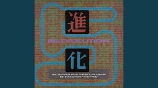 Re: Evolution (Shamen Vocal Mix / Edit)