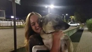 Встреча с собакой после разлуки | трогательное видео