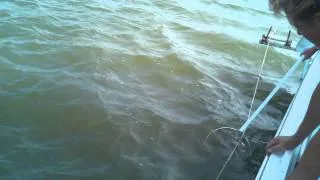 Trot Line Crabbing in Maryland