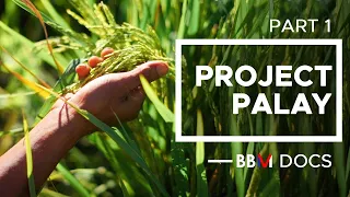 Part 1: Project Palay - Philippine Agriculture | Bongbong Marcos
