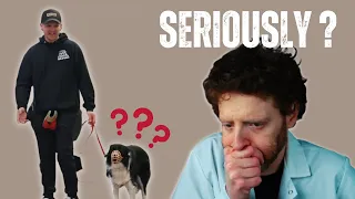 Can I Save This Aggressive Dog - Veterinarian Reacts to a Trainer