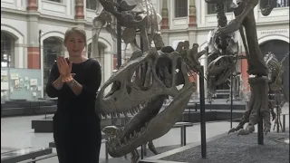 Guided Tours: Dinosaurier im Museum für Naturkunde Berlin