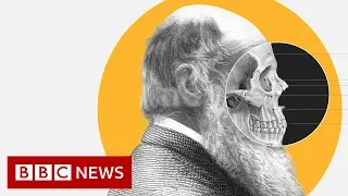 Theory of Evolution: How did Darwin come up with it? - BBC News