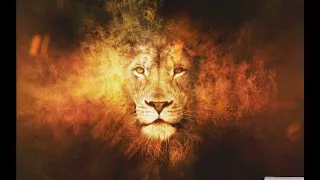 Lion on Fire Effect Live wallpaper - Animated background wallpapers loops videos