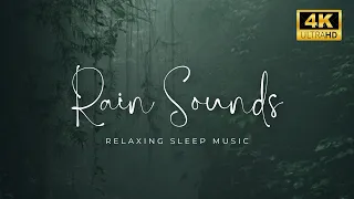 You just need the sound of heavy rain, to sleep more soundly | ASMR NATURAL 1 Hour,