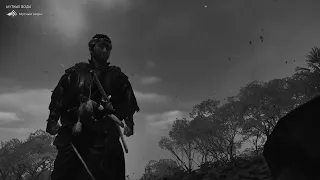 Akira Kurosawa mode/Ghost of Tsushima/Монохром