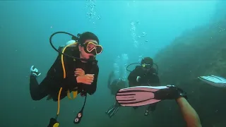 Diving in The One Tenggol Island Resort - Best Experience Ever