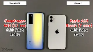 iPhone 11 Vivo V20 SE Speed Test & Camera Test