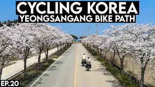 Cycling Korea Ep.20 🇰🇷 Yeongsangang Bike Path | Mokpo to Naju