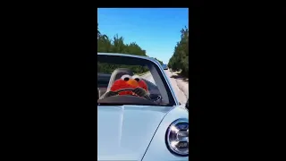 Elmo running from the cops