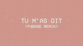 Louane - Tu m'as dit (P3gase remix) (Visualizer)