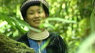 Tub Plis thiab Paj Tsua - Hmong Movie