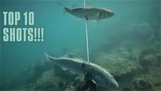 🔝 ΟΙ 10 ΚΑΛΥΤΕΡΕΣ ΒΟΛΕΣ ΓΙΑ ΤΟ 2020💥/TOP 10 SPEARFISHING SHOTS 2020