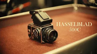 The Hasselblad 500C | Dreaming In Square Format