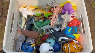 Assorted Sea Animal Toys Near a River