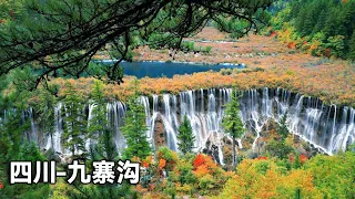 [Collection] Jiuzhaigou Encountered a Heavy Snow in Autumn! Small people, beautiful scenery, small