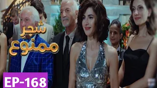 Shajar-e-Mamnu Episode 168 Promo | Turkish Drama | Forbidden Fruit | Urdu Dubb| 30July 2021 | Part-2