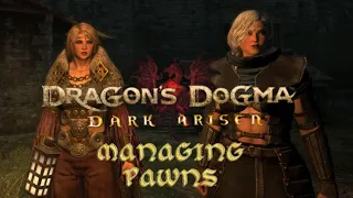 Dragon's Dogma Dark Arisen Managing Pawns