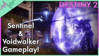 SENTINEL SO STRONG! Blink is BACK! | Sentinel & Voidwalker Gameplay Destiny 2