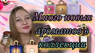 Парфюмерные покупки!Новые ароматы в коллекции!Ниша,Люкс,Снятости💜