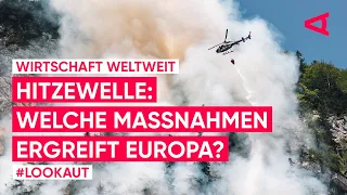 So wirkt sich die Hitzewelle in Europa auf die Wirtschaft aus | LOOKAUT