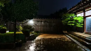 The best rain sound from nature - Perfect for sleeping and relaxing