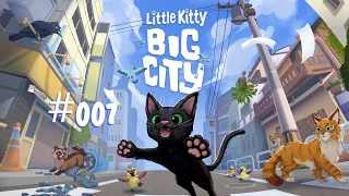 Little Kitty, Big City 🐾 #007: Auf der Suche nach den Tennisbällen