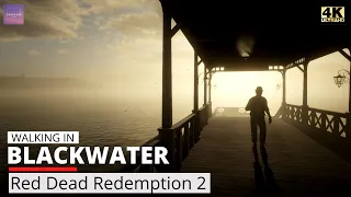 Misty Morning Walk in Red Dead Redemption 2 - Blackwater [ 4K 60 Ultra - Relaxing Ambience ]