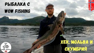 В гостях у WOW fishing. СУПЕР РЫБАЛКА! Первый ХЕК в жизни и ЛОВЛЯ КРУПНОЙ МОЛЬВЫ! Норвегия. Рыбалка.