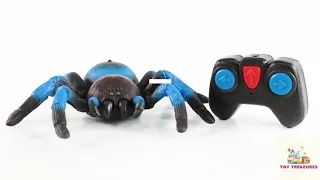 RC Spider Toy