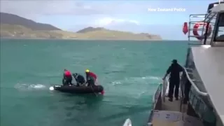 New Zealand rescue team saves humpback whale tangled amongst crayfish pots