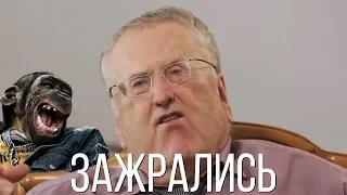 Жириновский говорит [RYTP]