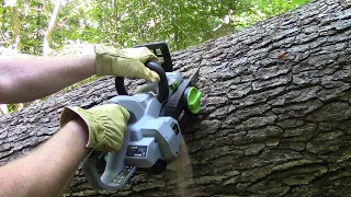 How To Use Your EGO Chainsaw