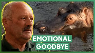 Zookeeper Says Goodbye To His Beloved Hippos During His Last Day On The Job | The Zoo