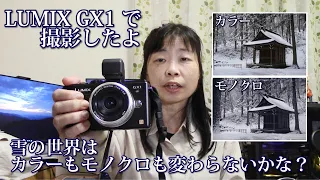 【LUMIX GX1】3月22日に雪が降りました【牛伏寺】