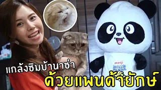 [ENG SUB] Prank on Naza and Zimba with a Giant Panda