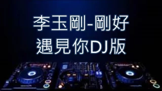 李玉剛-剛好遇見你DJ版