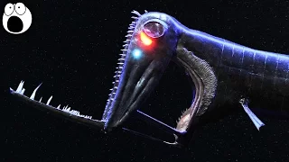 5 STRANGE Deep Sea Creatures - Part 1?