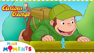 George the Underwater Explorer 🌊 🔎 | Curious George | Compilation | Mini Moments