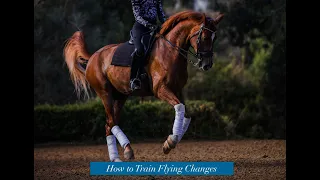 How to Train Flying Changes